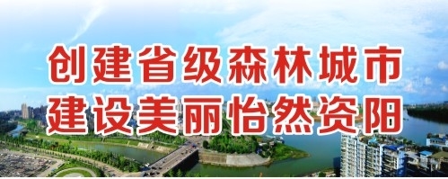 日本美女玩双插免费版创建省级森林城市 建设美丽怡然资阳